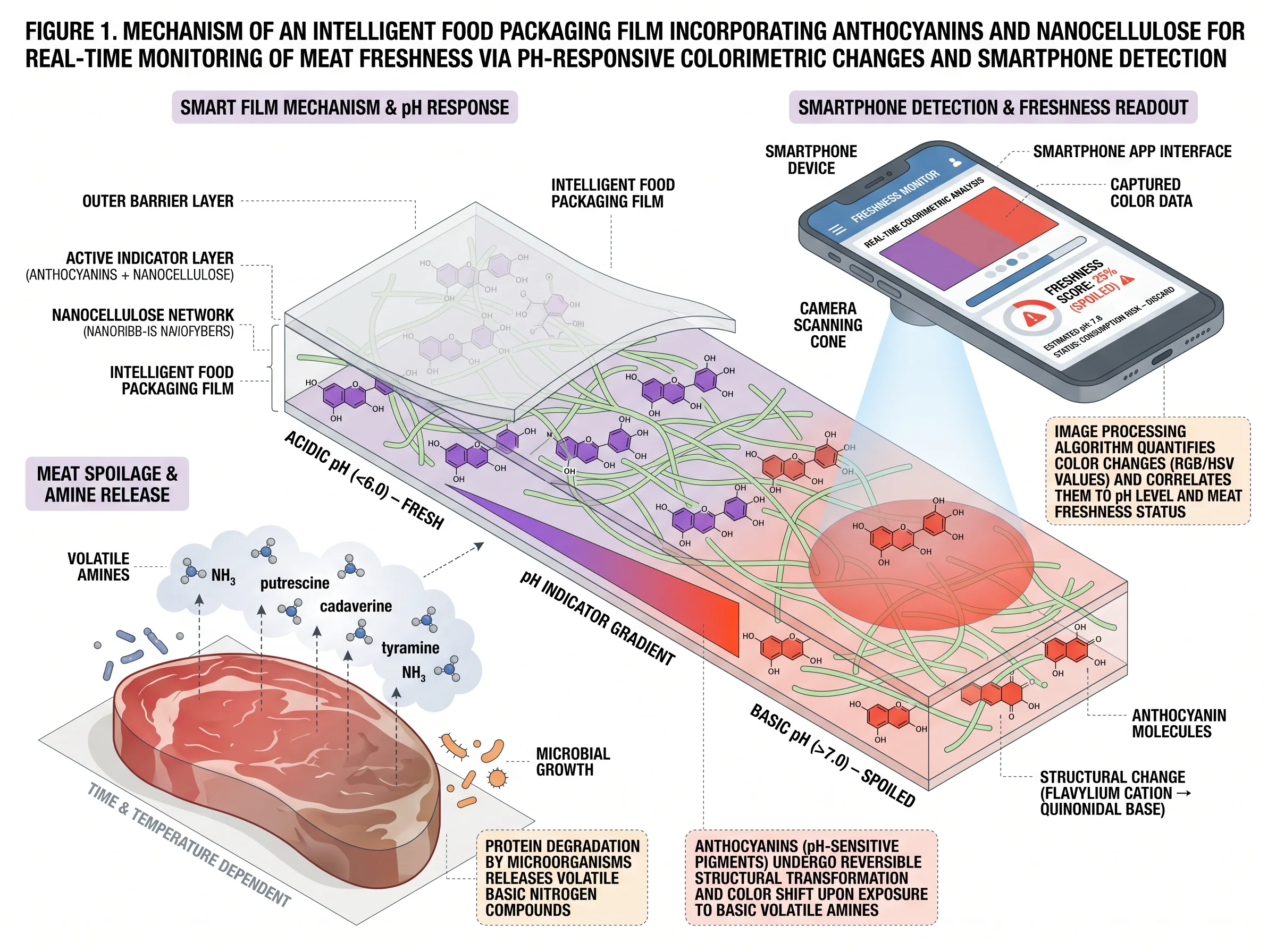 Smart Food Packaging Sensor