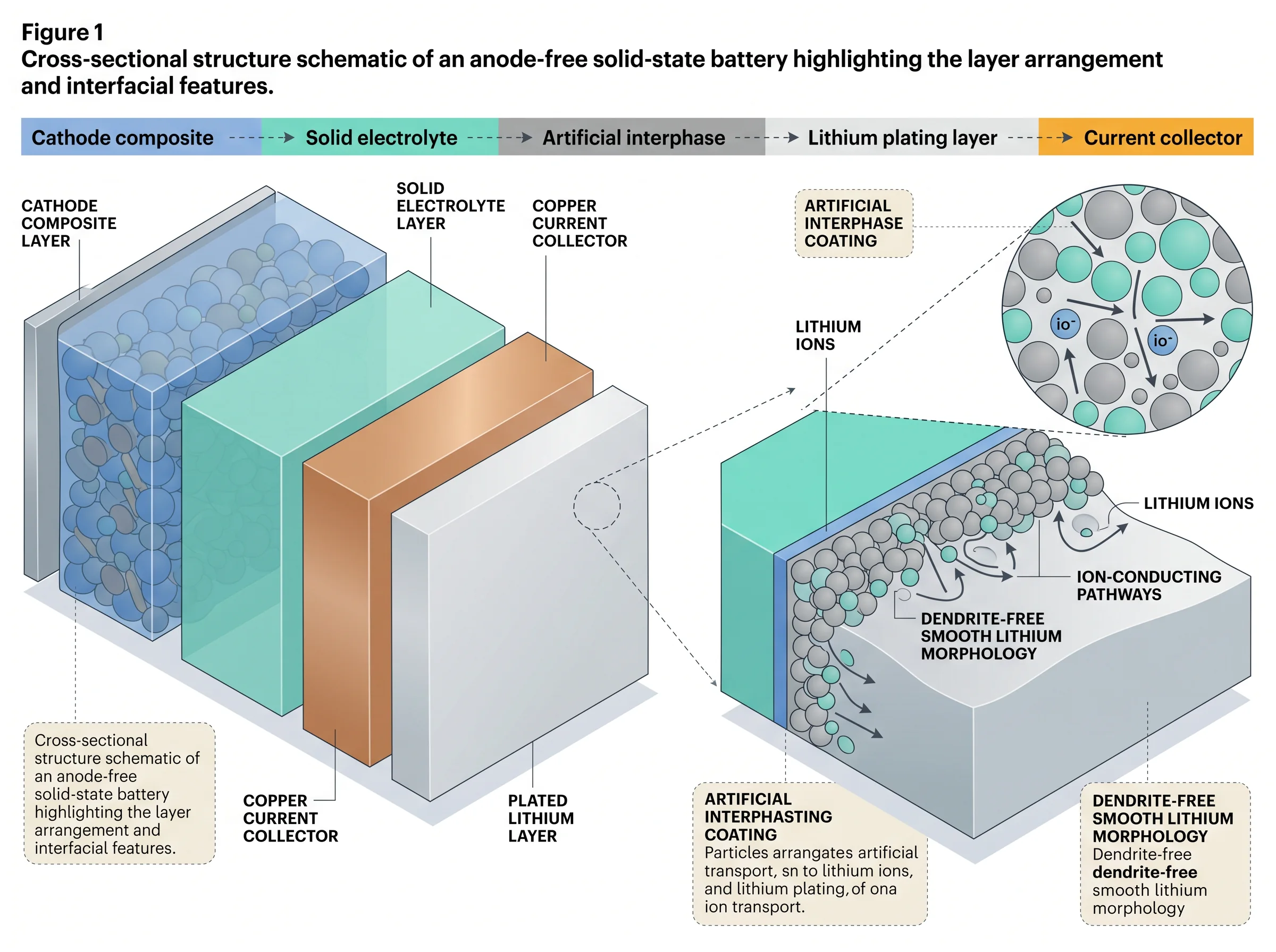 Anode-Free Solid-State Battery Interface Structure